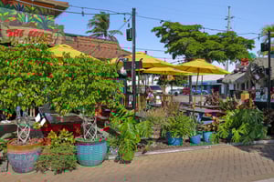 Ocean Blvd-1712-912.jpg