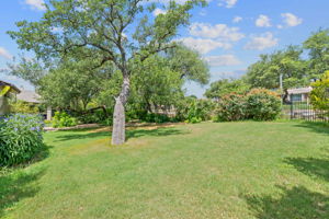  Photo 0