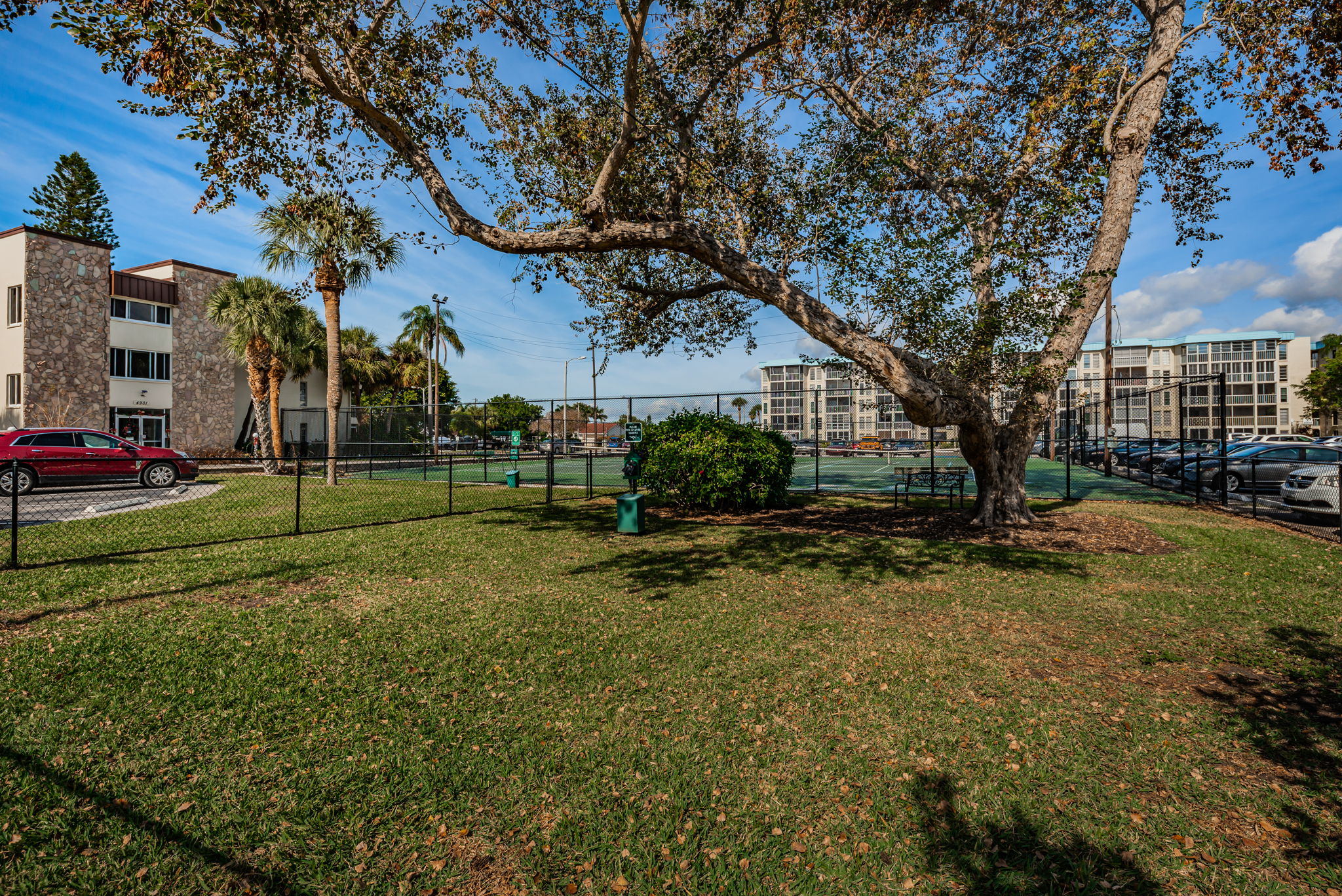 Dog Park 1c