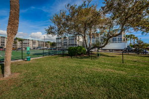 Dog Park 1a