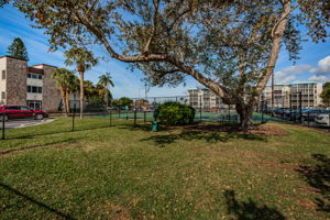 Dog Park 1c