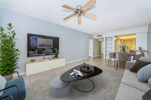Living and Dining Rooms11-vs