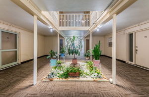 Entry Courtyard1