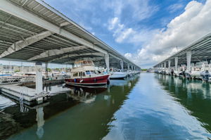 Maximo Marina 4