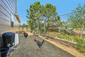 Beverly Dr-S2807-068.jpg