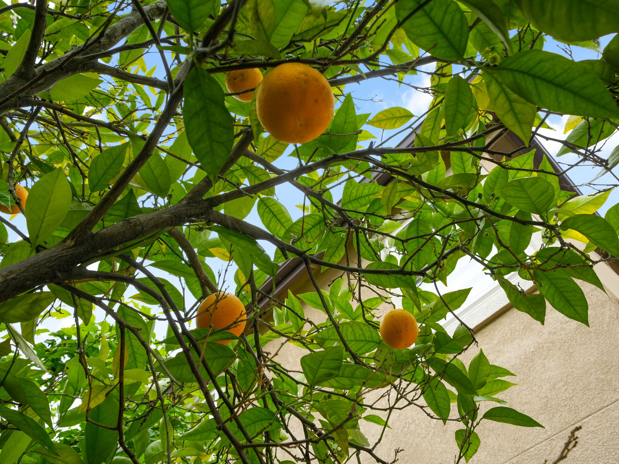  Photo 44