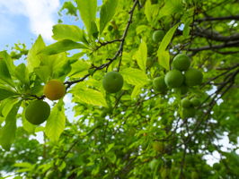  Photo 44