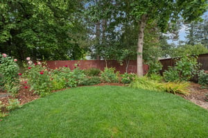 125.jpg