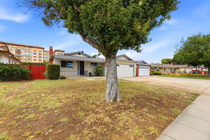 004_F8_491 Bellwood Dr