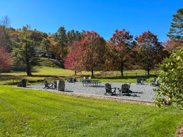 IMG_1781