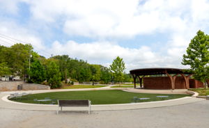 20240814_avondale_cutts10