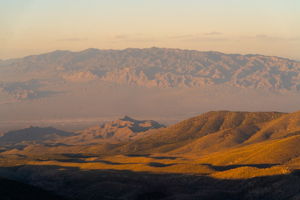  Photo 41