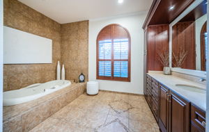 Master Bathroom1b