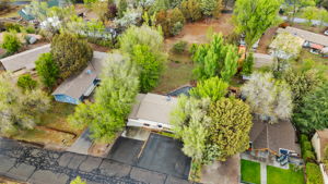 Birds Eye