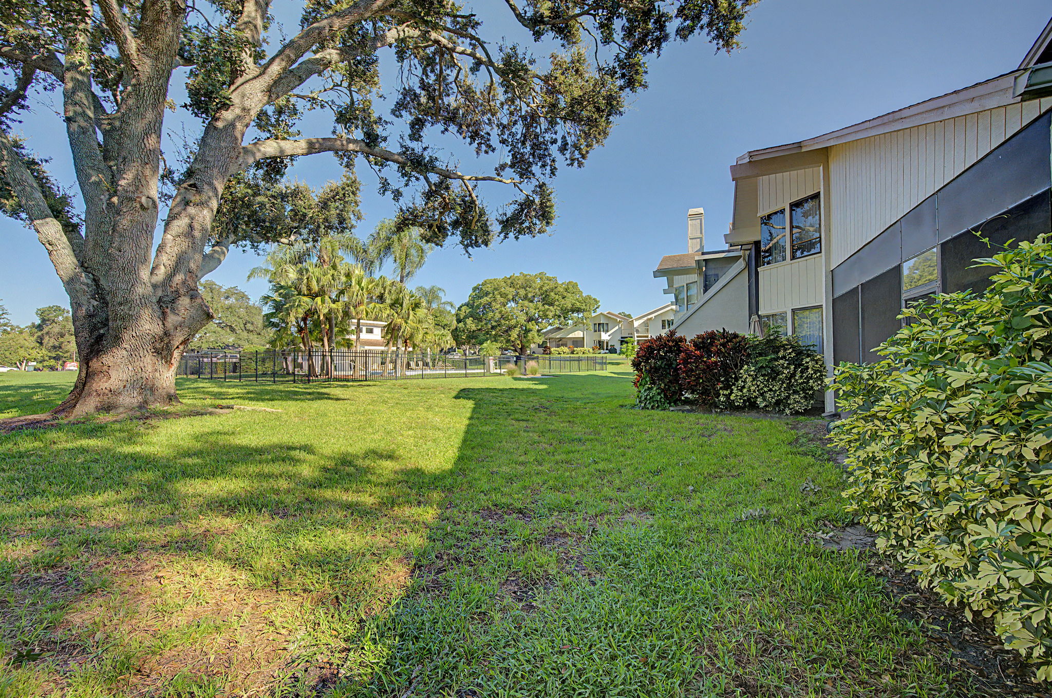Backyard3