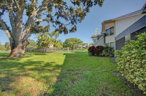 Backyard3