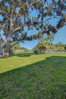 Backyard4