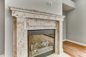 Fireplace Detail