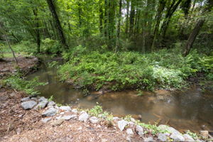  Photo 51