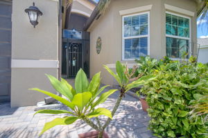 Lush Landscaping
