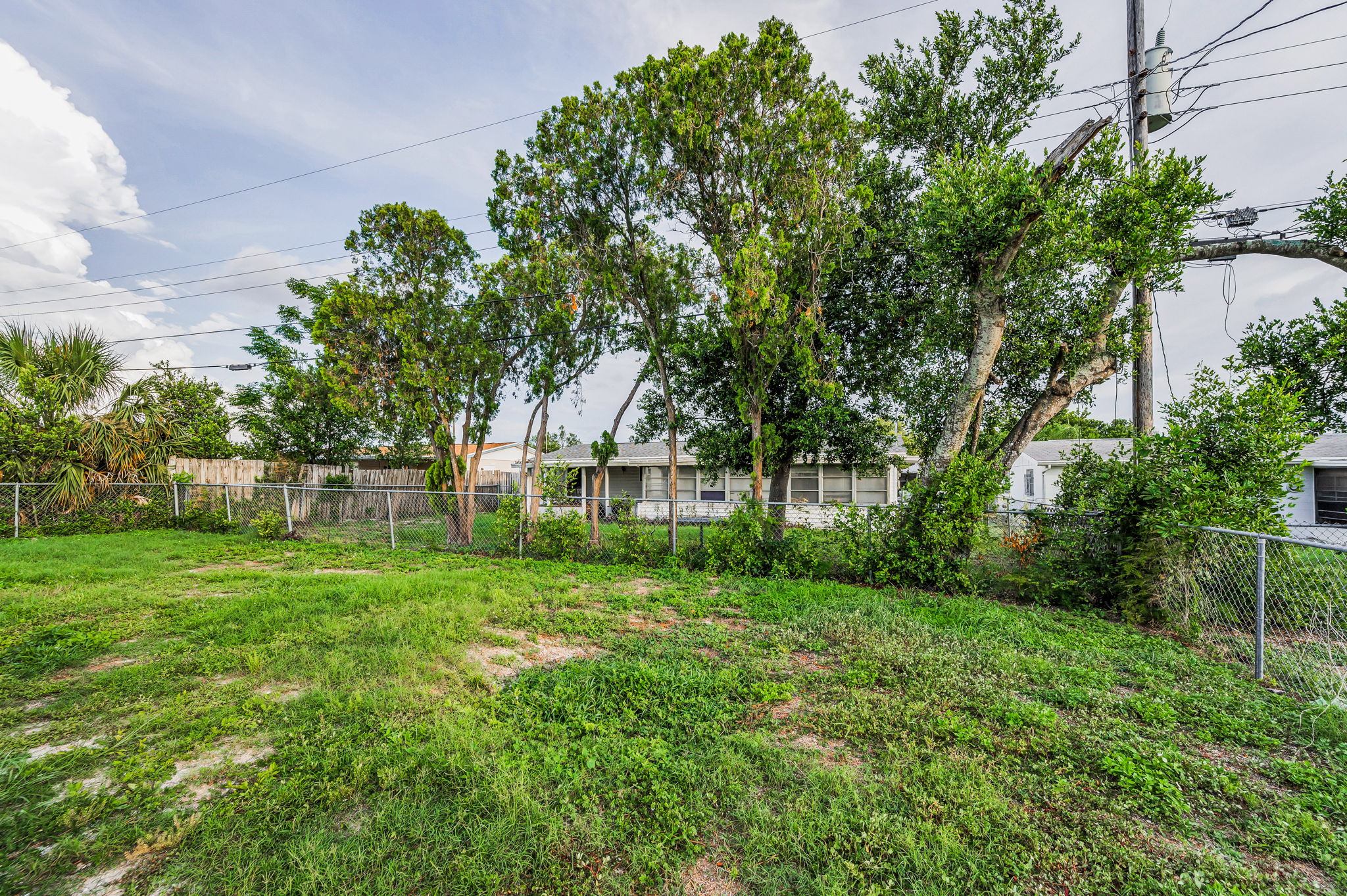 Backyard1