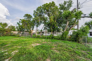 Backyard1