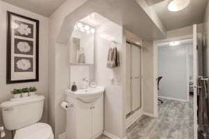 14.Lower Level bathroom