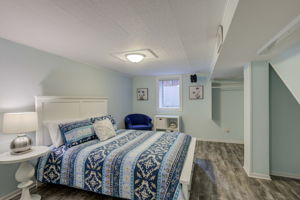 13.Lower Level Bedroom