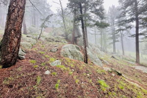  Photo 31