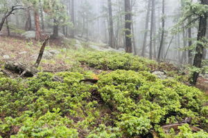  Photo 34