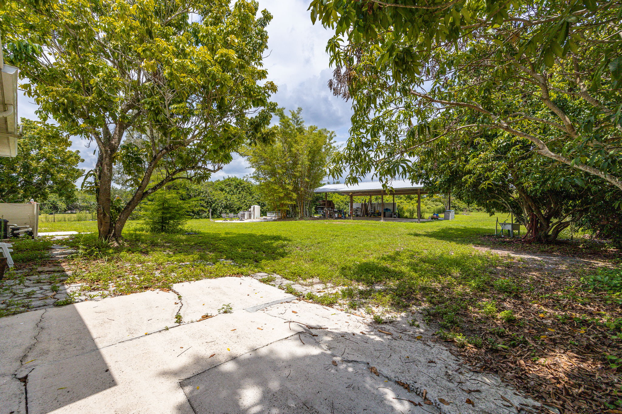  Photo 50