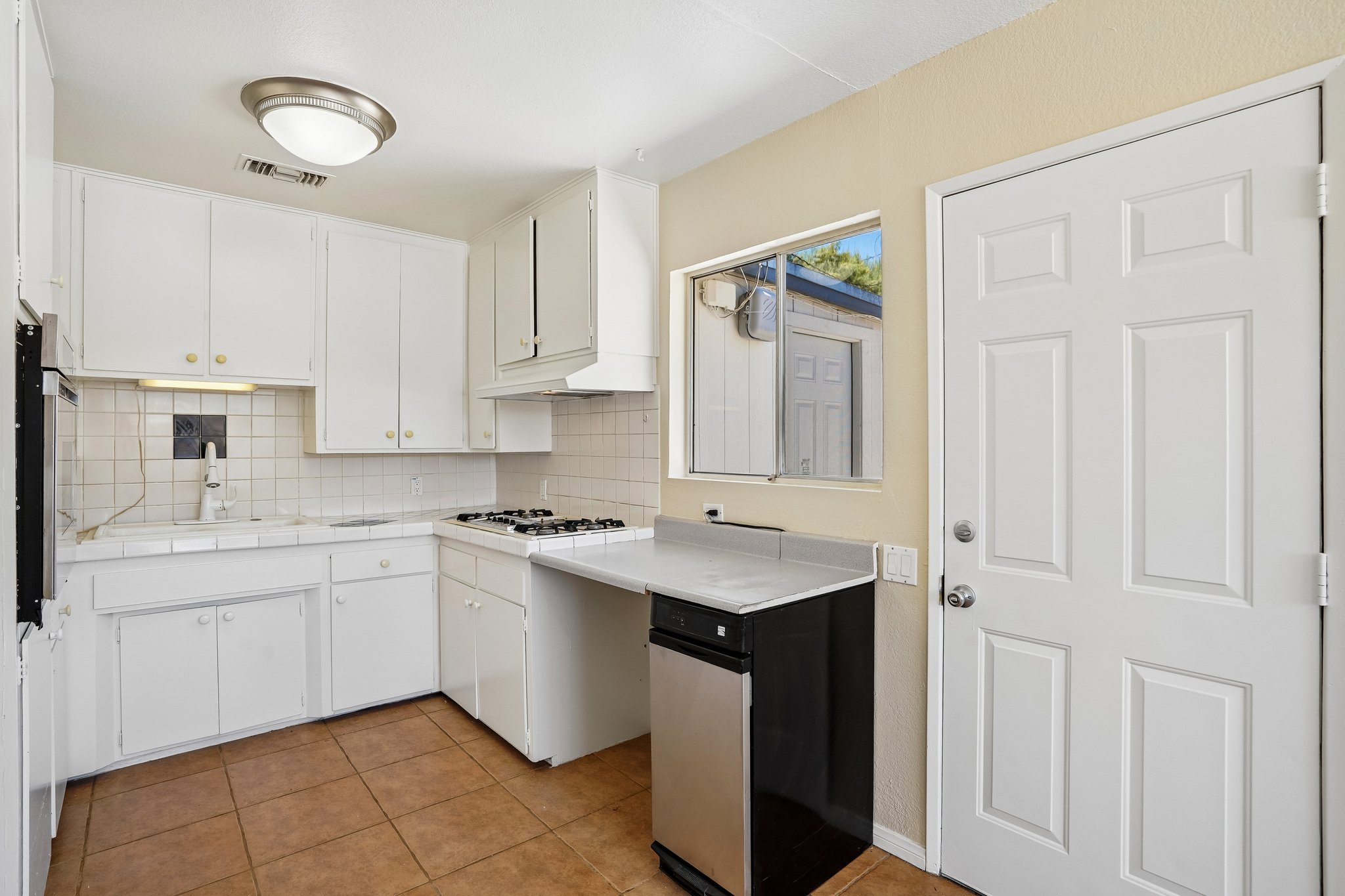 Hibiscus Dr-S0107-11.jpg