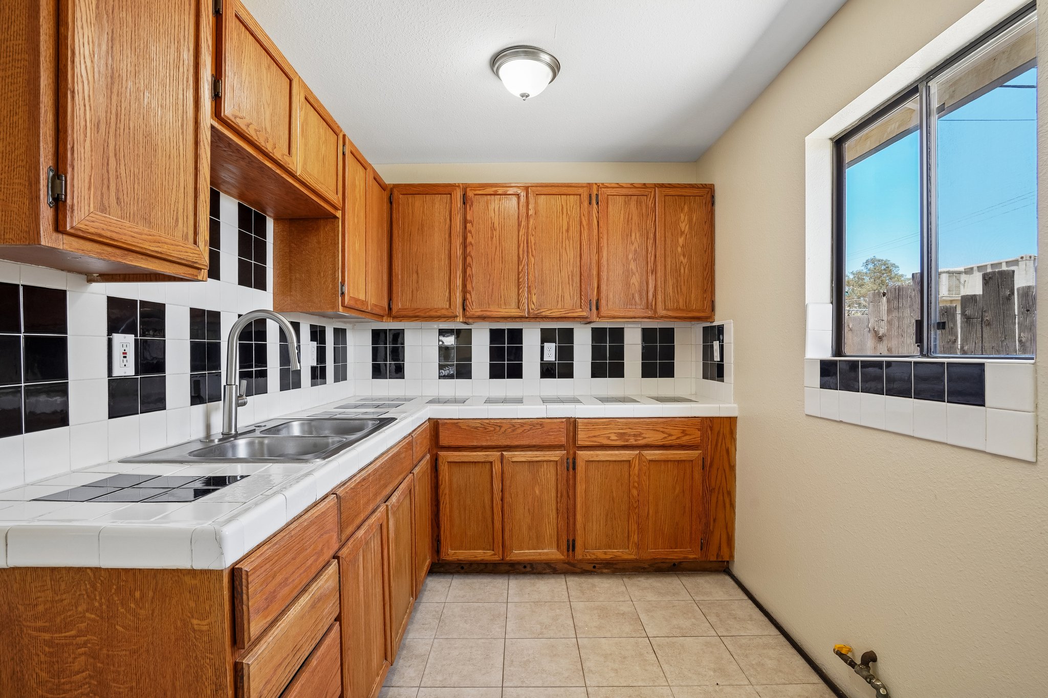 Hibiscus Dr-S0107-34.jpg