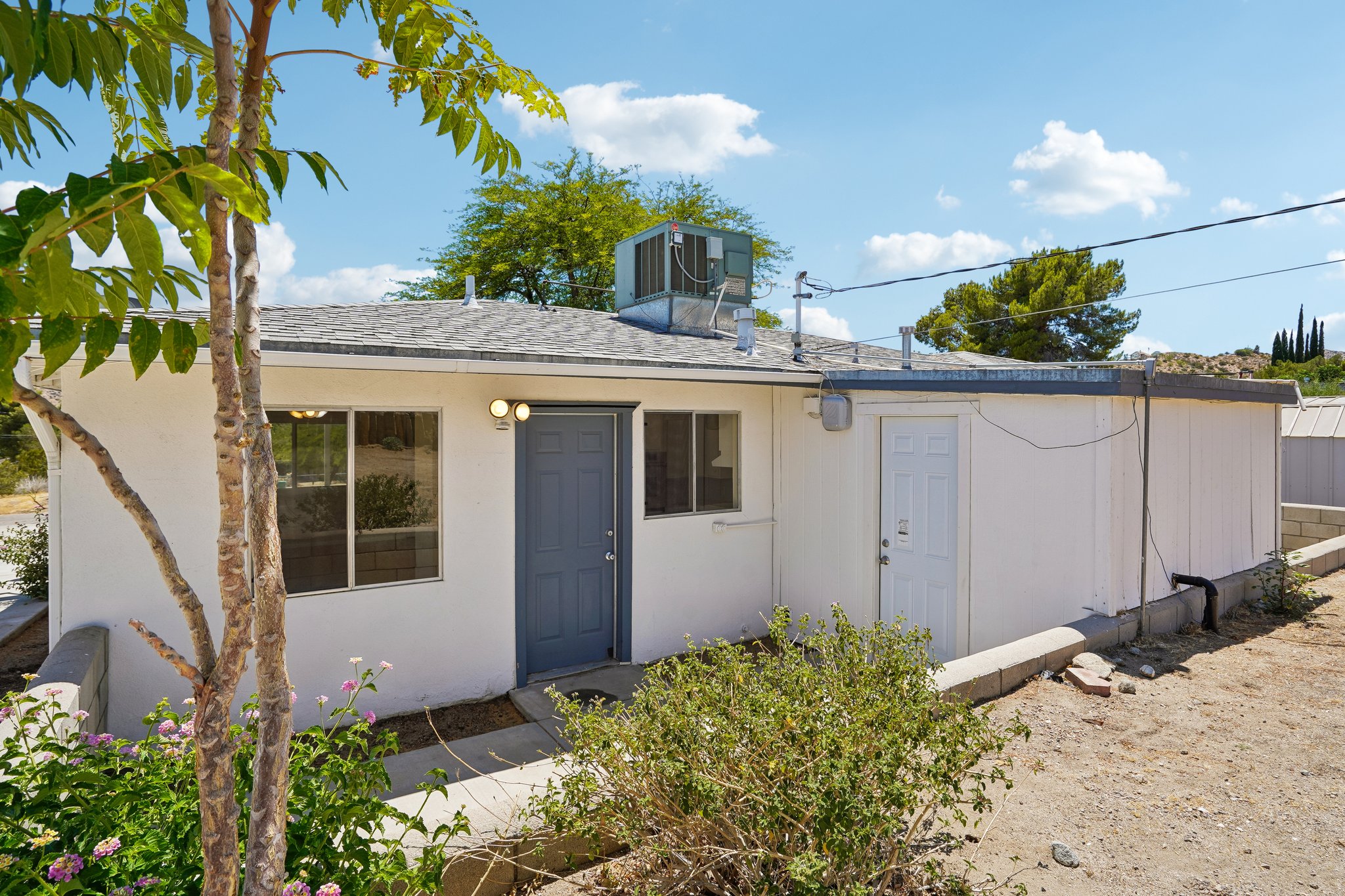 Hibiscus Dr-S0107-24.jpg