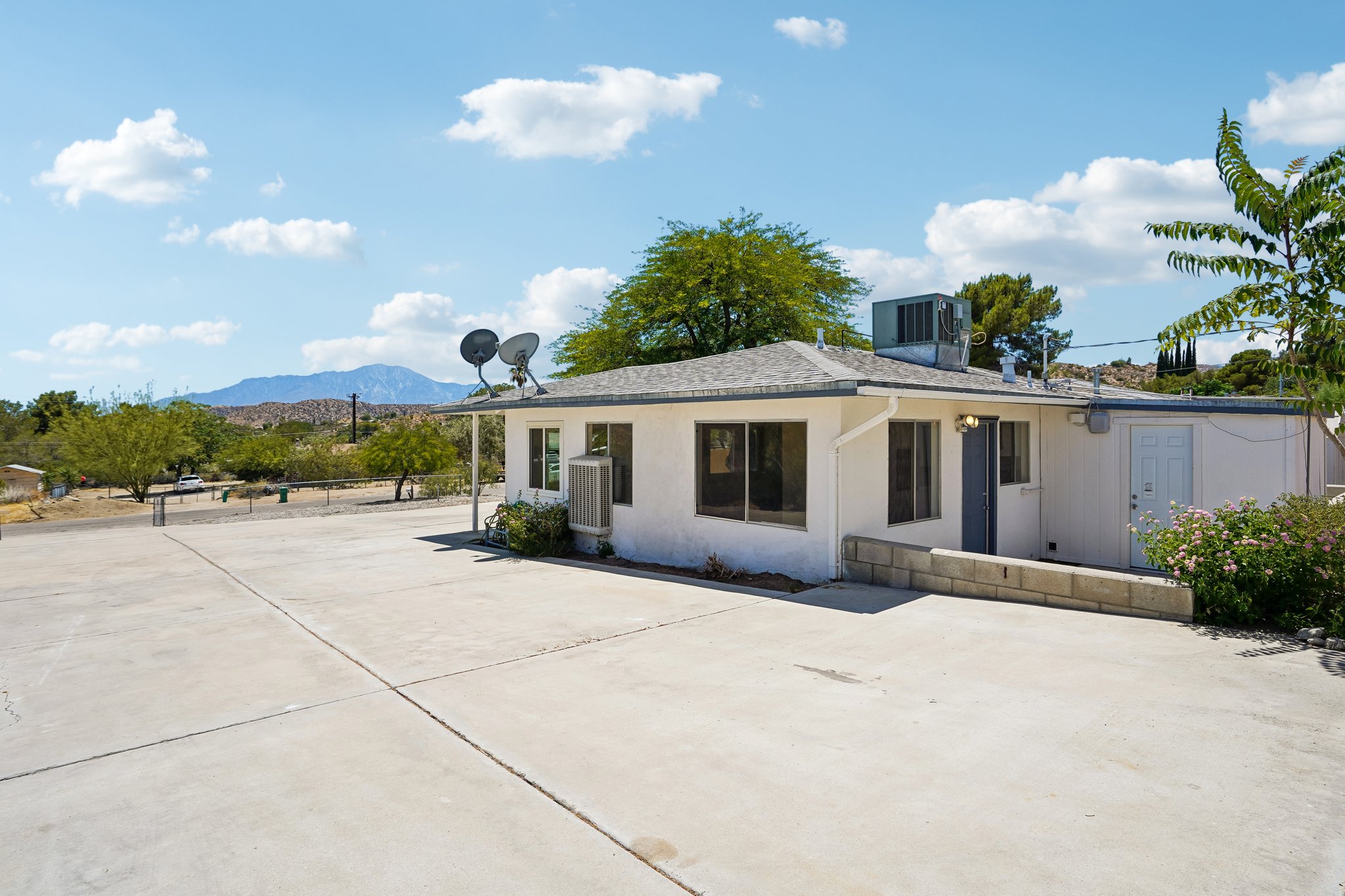 Hibiscus Dr-S0107-28.jpg