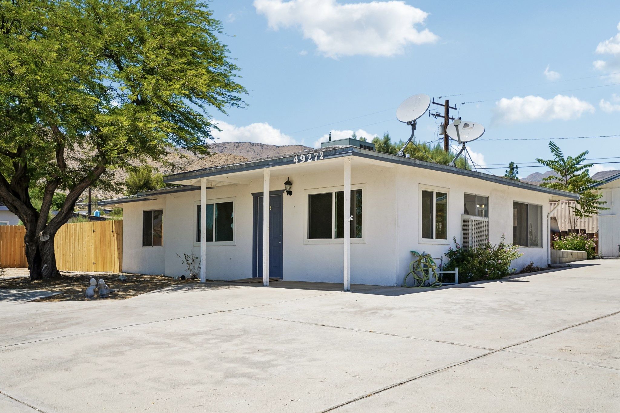 Hibiscus Dr-S0107-02.jpg