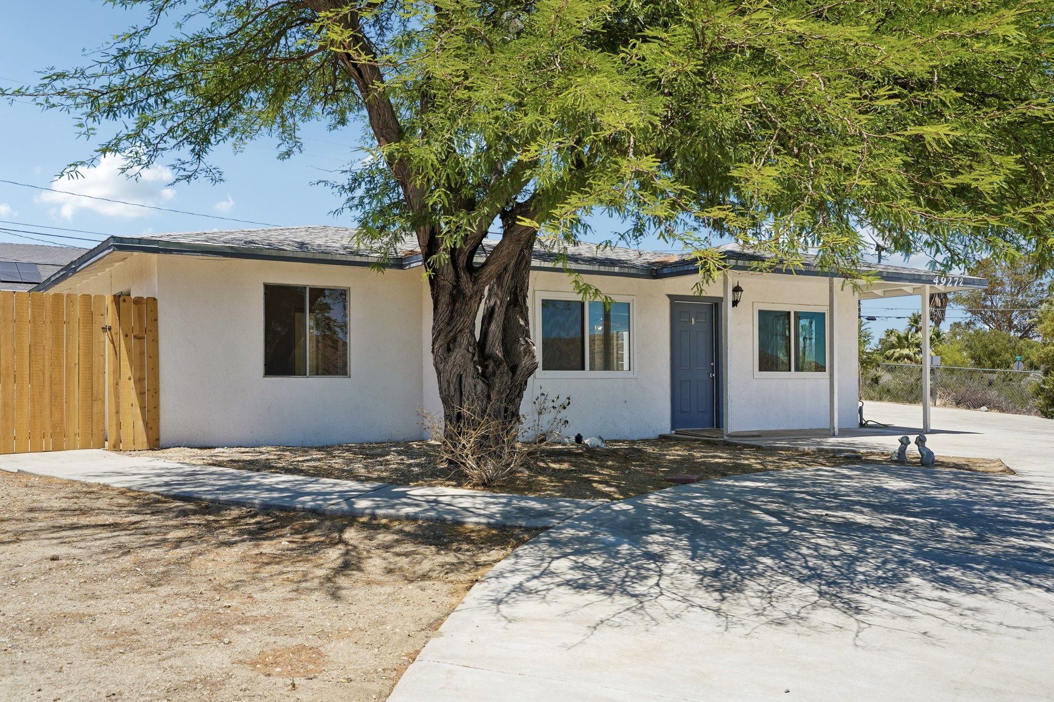 Hibiscus Dr-S0107-03.jpg
