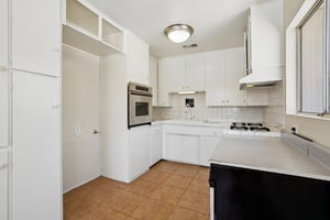 Hibiscus Dr-S0107-10.jpg