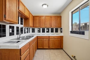 Hibiscus Dr-S0107-34.jpg