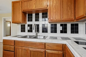 Hibiscus Dr-S0107-36.jpg