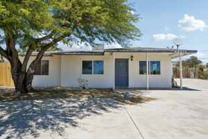 Hibiscus Dr-S0107-01.jpg