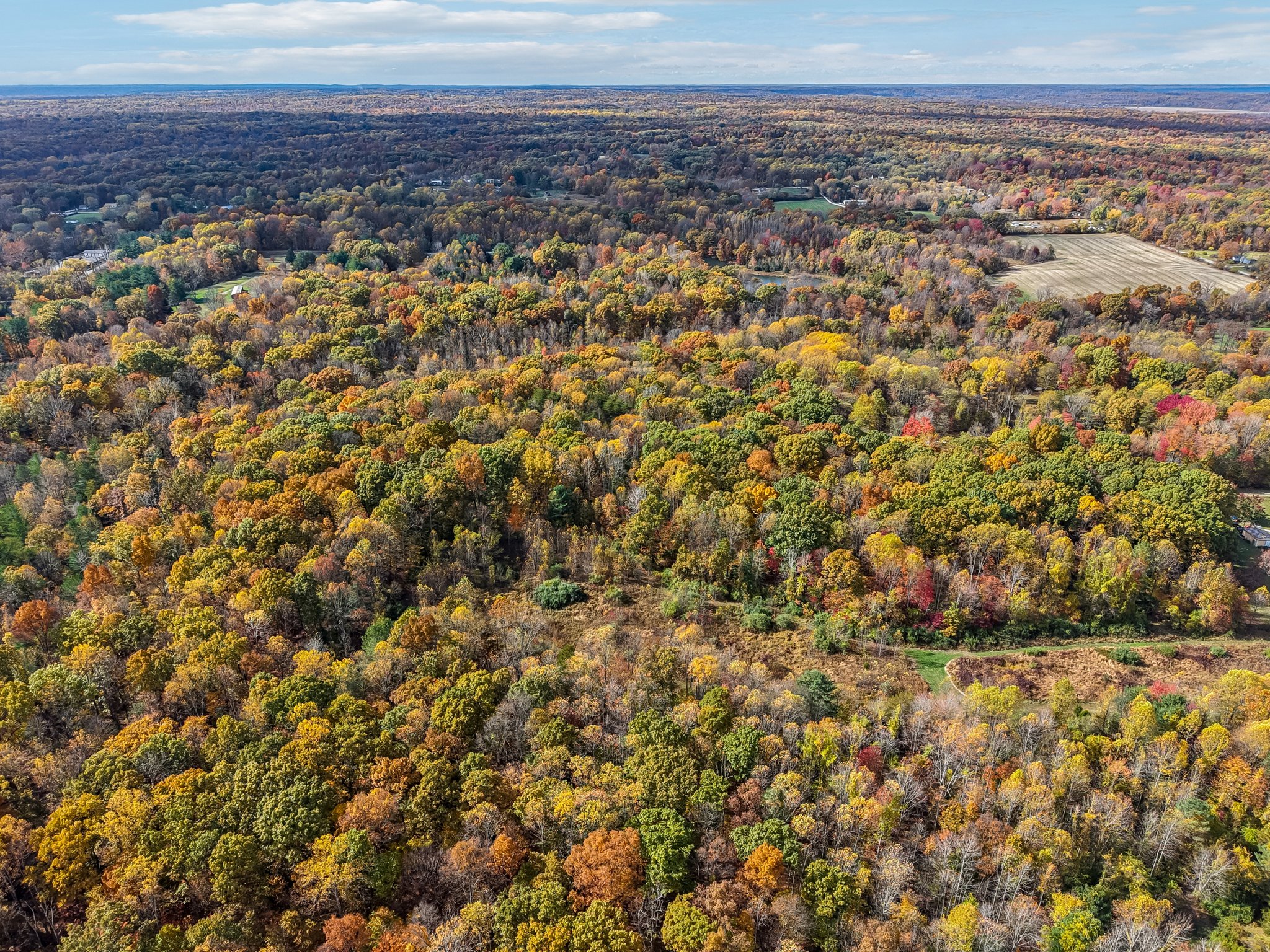 Hornettown Ln-S0211-004.jpg