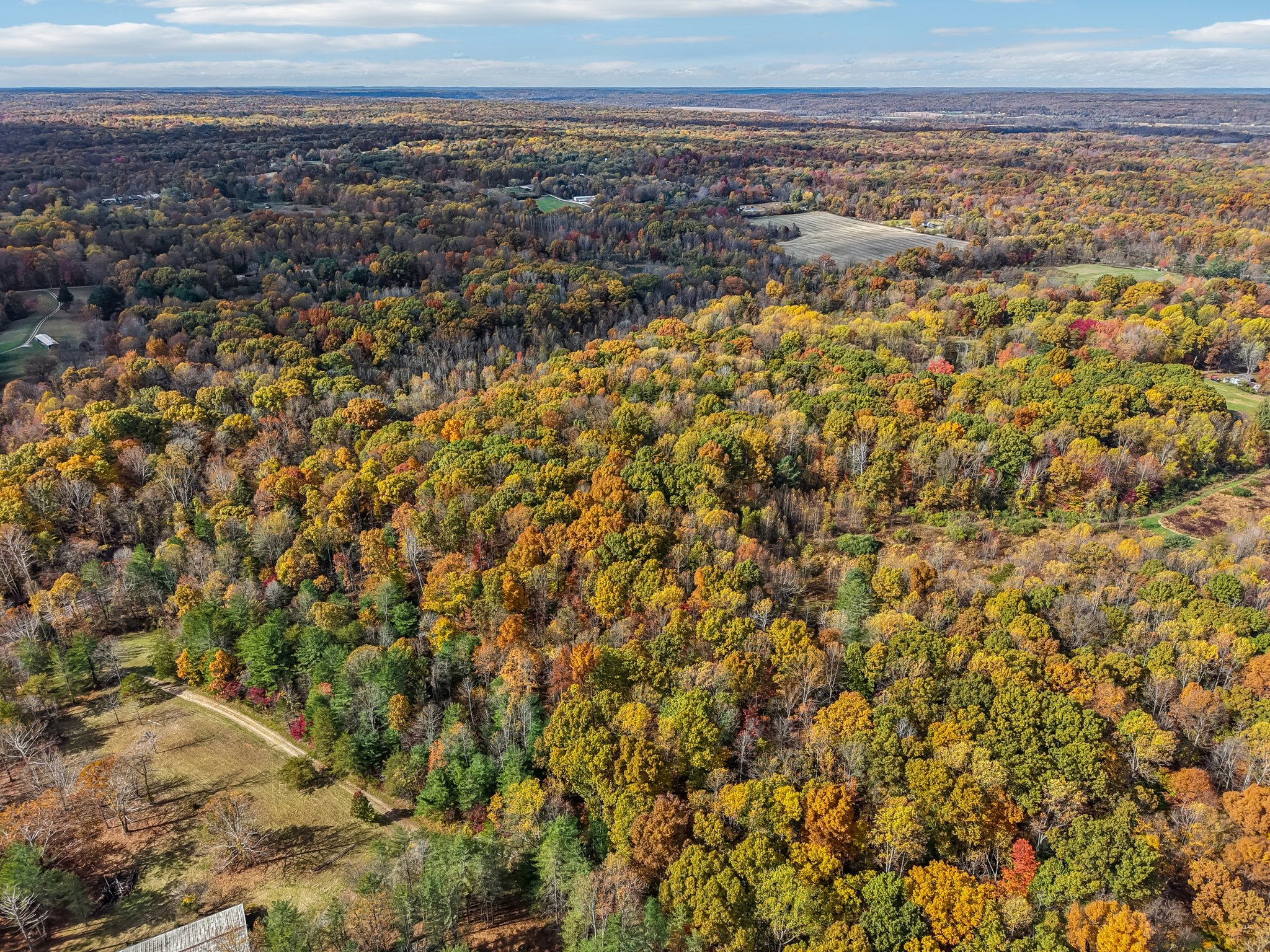 Hornettown Ln-S0211-005.jpg