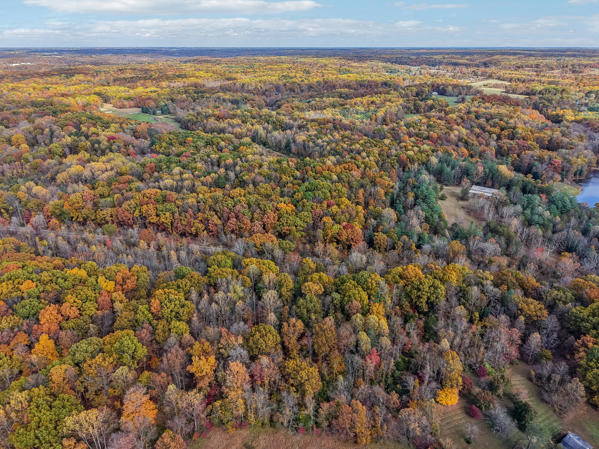 Hornettown Ln-S0211-008.jpg