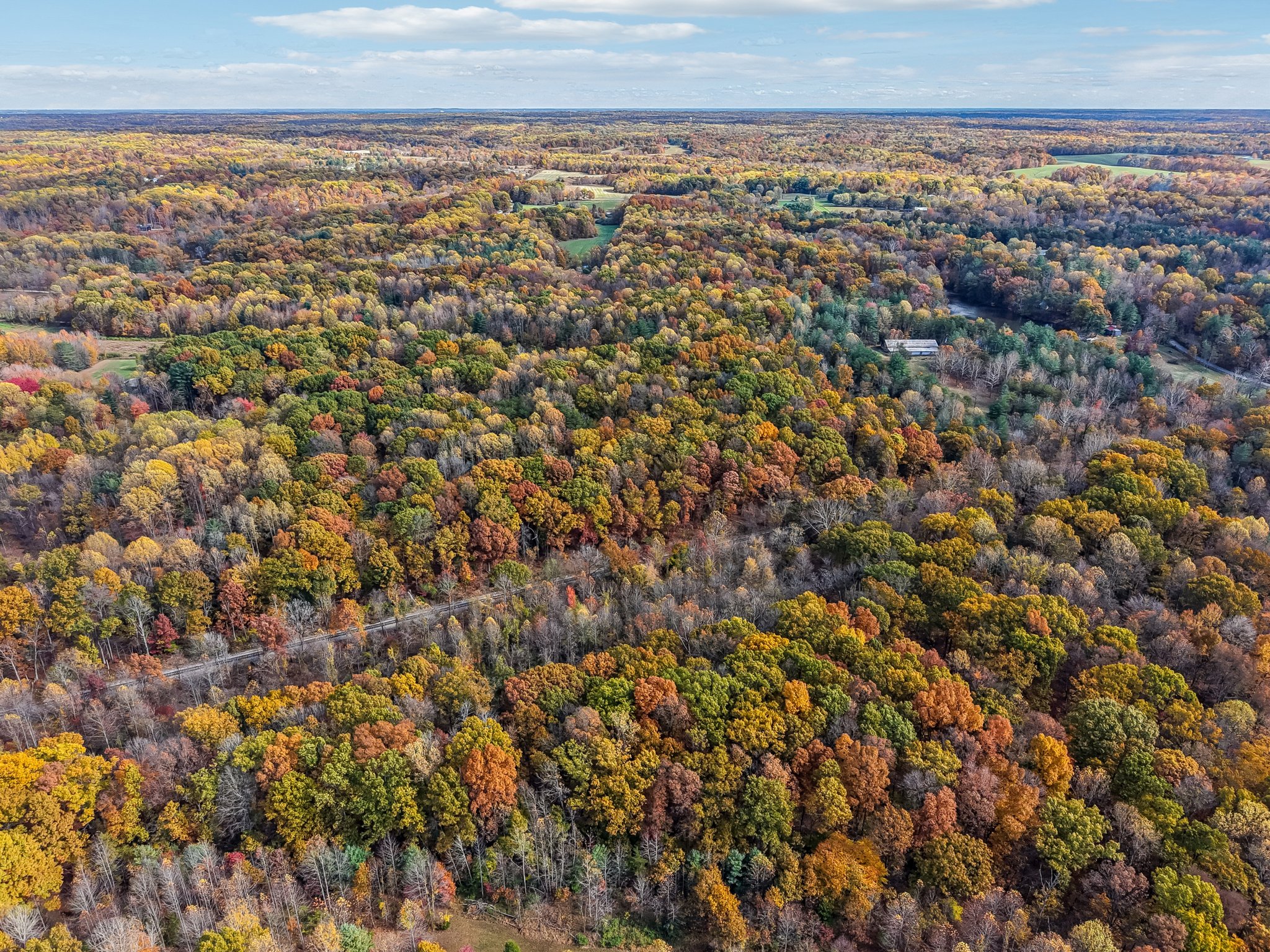 Hornettown Ln-S0211-009.jpg