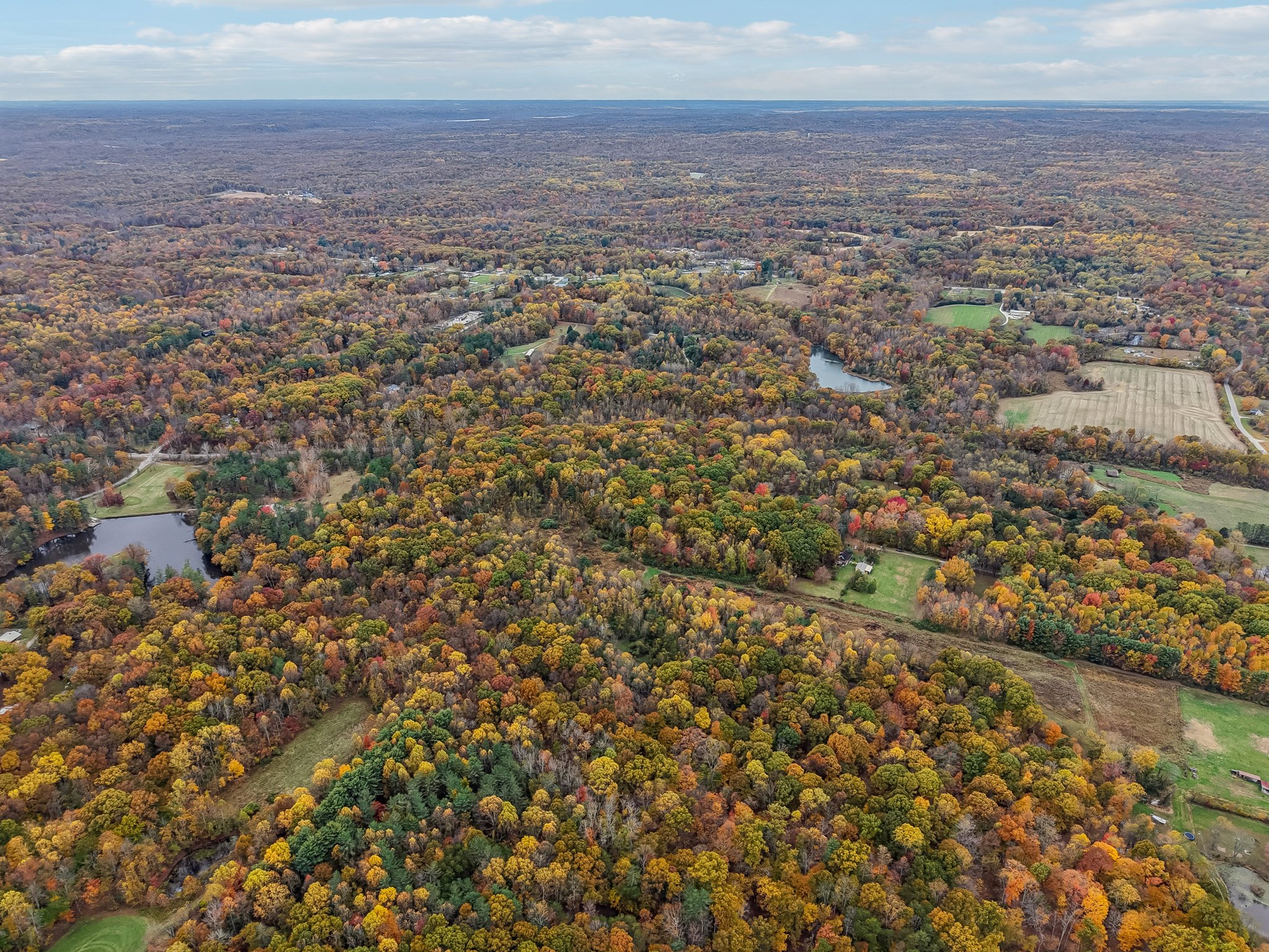 Hornettown Ln-S0211-017.jpg