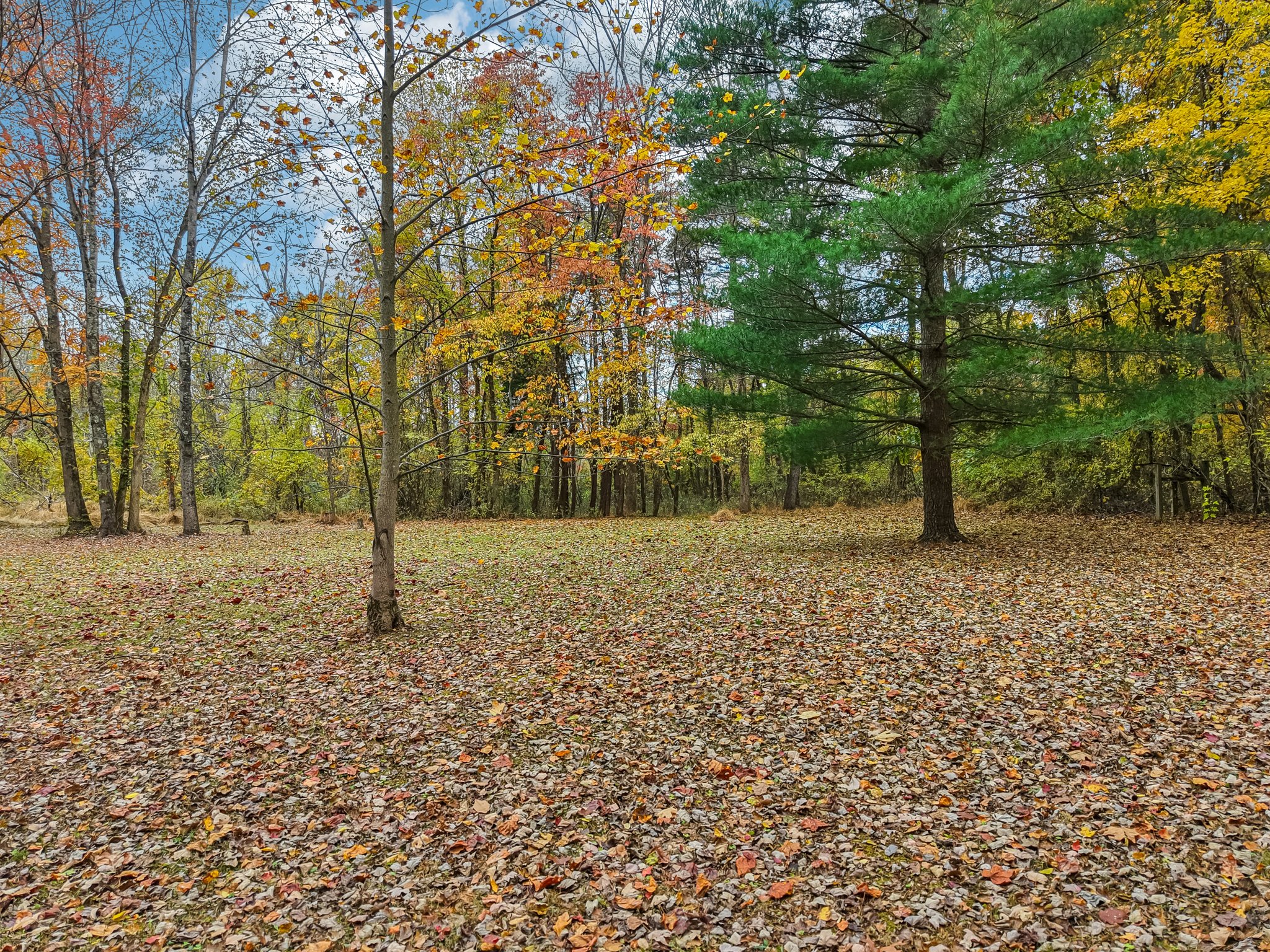 Hornettown Ln-S0211-019.jpg