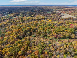 Hornettown Ln-S0211-004.jpg