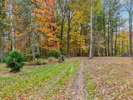 Hornettown Ln-S0211-010.jpg