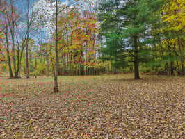 Hornettown Ln-S0211-019.jpg